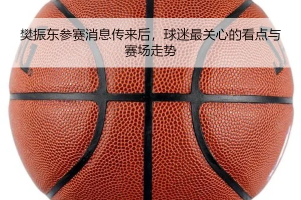 樊振东参赛消息传来后，球迷最关心的看点与赛场走势